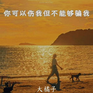 你可以伤我但不能够骗我