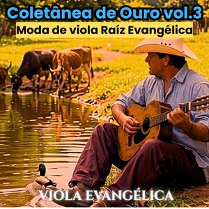 Ouro e Prata Não Tenho (Sertanejo Evangélico)