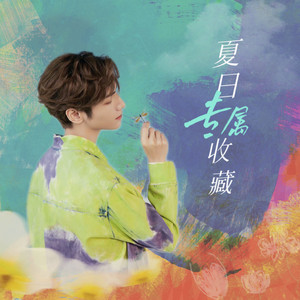 夏日专属收藏