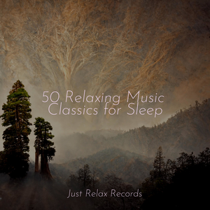 Juicy Rhythm Odyssey