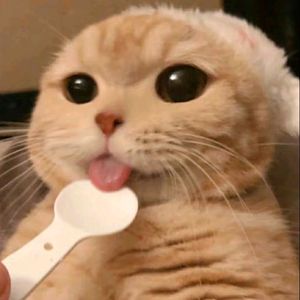 漫步海边享自由