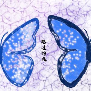 路过的风