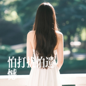 怕打扰怕遗憾