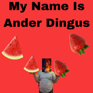 My Name Is Ander Dingus