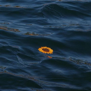 阿玛菲柑橘（Prod by Keerad）