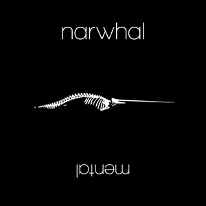 Narwhal