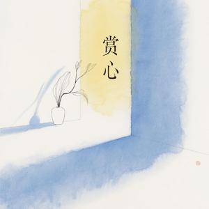 赏心的风