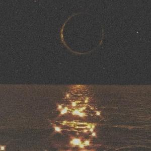 白月光与朱砂痣（Live）