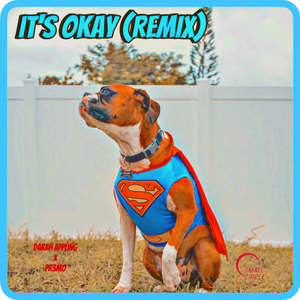 It’s Okay (Remix)