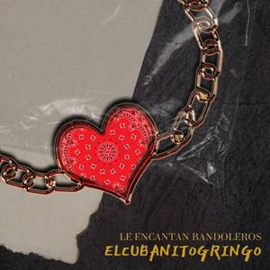 Le encantan bandoleros