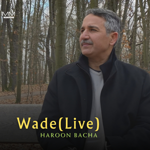 Wade (Live)