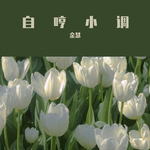 我真的很不解