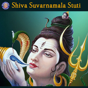 Om Namah Shivaya