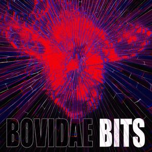Bits (2025)