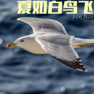 夏如白鸟飞