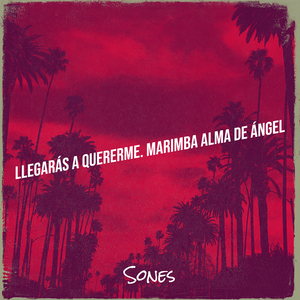 Llegarás a Quererme. Marimba Alma De Ángel