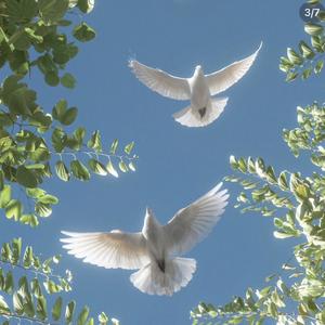 谁 (男女扎心合唱)