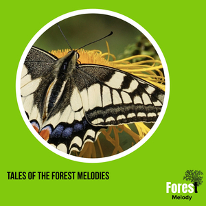 Colorful Rattle Snake