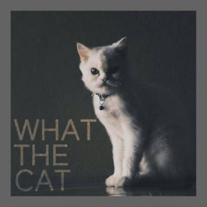 อยากจะลืม (Memoirs)