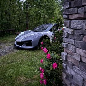 【FREE】“富贵命”华云龙&王齐铭弦乐钢琴孟菲斯 type beat