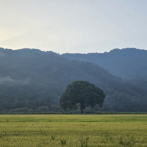 추억이 흘러넘쳐 기어코 쏟아버렸다