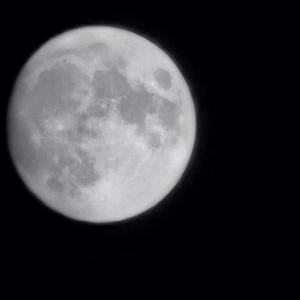 Cry for the moon(prod.Nino)