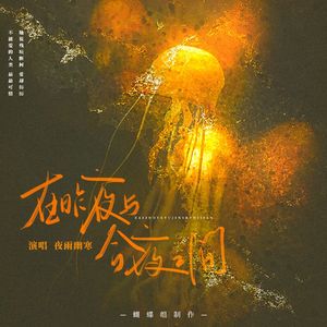 在昨夜与今夜之间