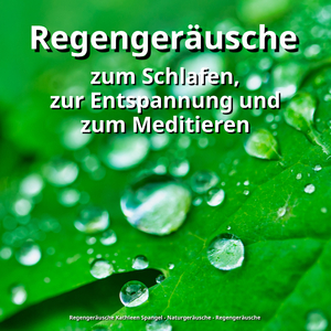Regengeräusche