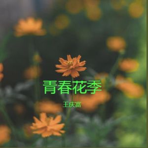 青春花季