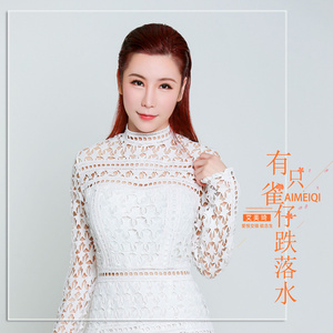 有只雀仔跌落水（DJ版）