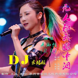无人知我眼中泪DJ家铭版