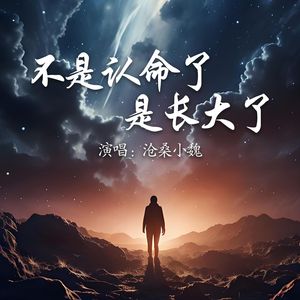 不是认命了是长大了