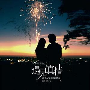 遇见真情
