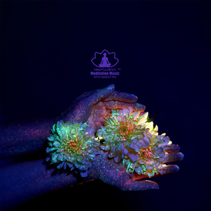 Rise with Subtle Power