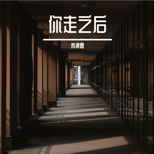 你走之后