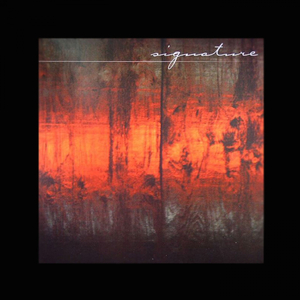 Light Night Squeeze (Original Mix)