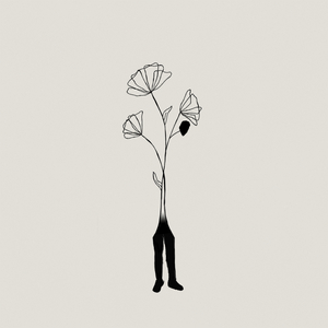 marshmallows (by the fire)