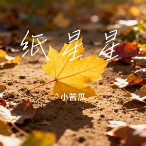 纸星星 (Cover 郁可唯)