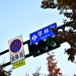 学林街的枫叶又红了
