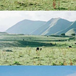 吉姆餐厅
