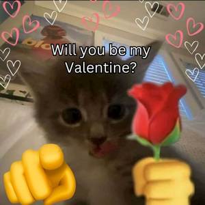 DJ PUTRI IKLAN PLAT KT