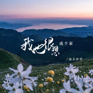 我也很想成个家 (DJ版)