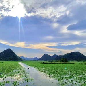 溜溜的山寨 溜溜的醉