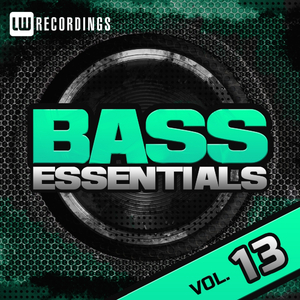 Playin' On The Juno (Original Mix)