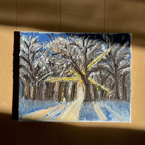 12月の木漏れ日