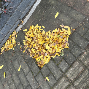 我的朋友圈,是写给你的漂流瓶