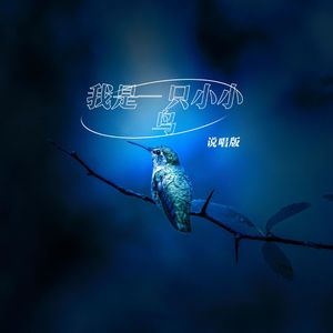 我是一只小小鸟（说唱版）