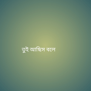 তুই আছিস বলে