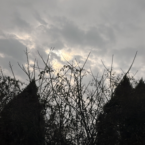 Caught in the Pressure