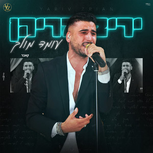 עומד מולך (קאבר)